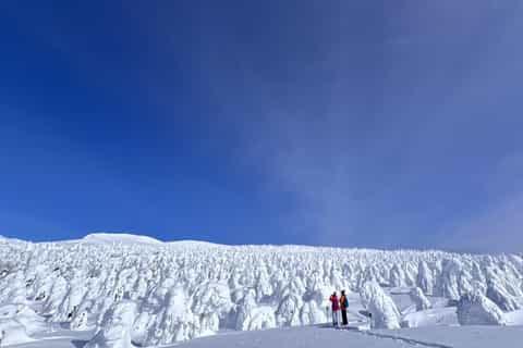 The BEST Yamagata Tours and Excursions in 2026 - FREE Cancellation