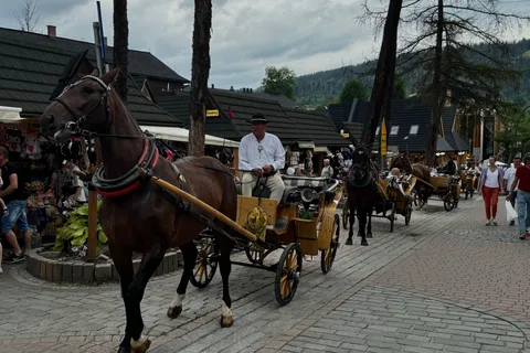 Desde Cracovia: Excursión Privada Zakopane y Baños Termales