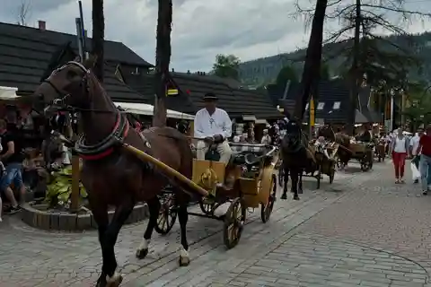 Desde Cracovia: Excursión Privada Zakopane y Baños Termales