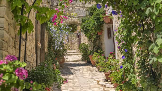 Authentic Cyprus with an Romanian-speaking Guide