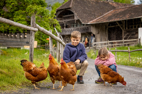 Interlaken: Eintrittstickt für das Freilichtmuseum Ballenberg