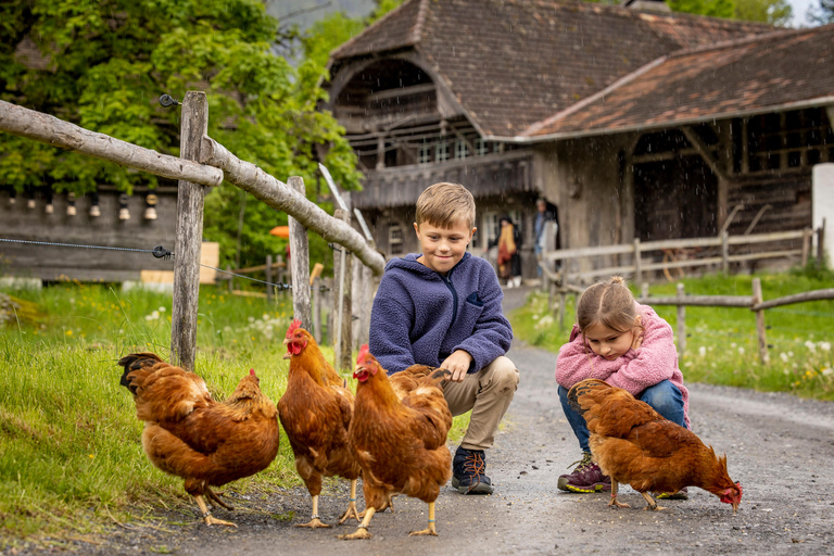 Interlaken: Eintrittstickt für das Freilichtmuseum Ballenberg