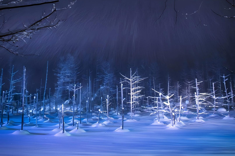 Sapporo: Blue Pond & Ningle Terrace Illumination, Biei Tour 10:40 – Departure：Sapporo Station North Exit Bus Parking Lot