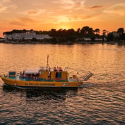 Poreč: Abendliche Bootsfahrt – Delfine & Panorama mit dem Glasboot