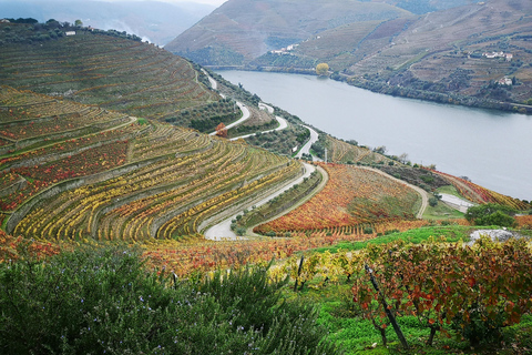 From Porto: Wine Trip w/ Tastings, Chef's Lunch & Boat Tour