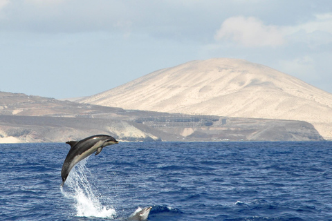 Fuerteventura: Catamarán navegación vela. Máximo 10 personasHappy Day Tour