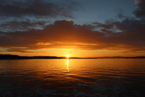 Oslo: Crucero turístico por el fiordo de Oslo en barco eléctrico