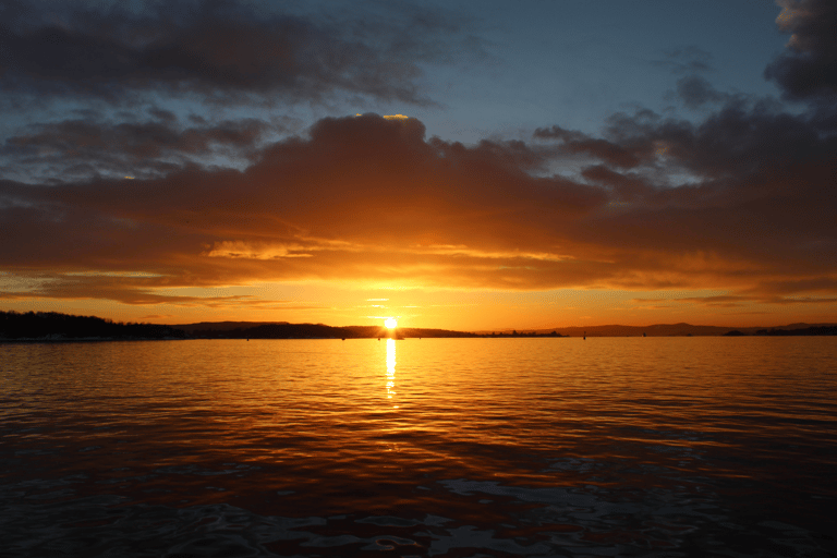 Oslo : Croisière touristique dans le fjord d'Oslo en bateau électrique