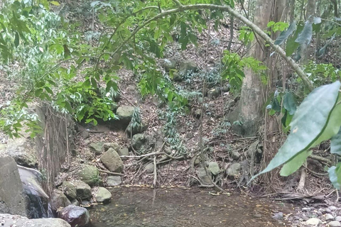 St Kitts: Panaramic Rainforests and Beach Excursions
