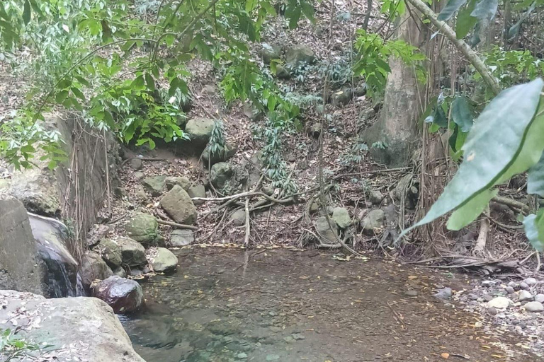 St Kitts: Panaramic Rainforests and Beach Excursions