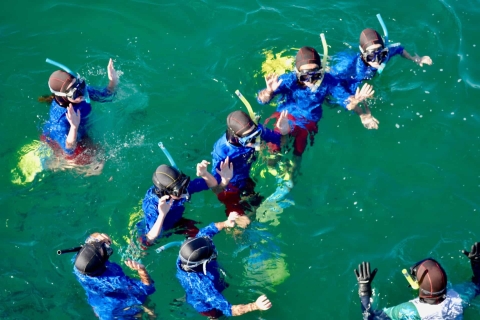 Wycieczki z przewodnikiem i nurkowanie z rurką w AucklandWyspa Tiritiri Matangi