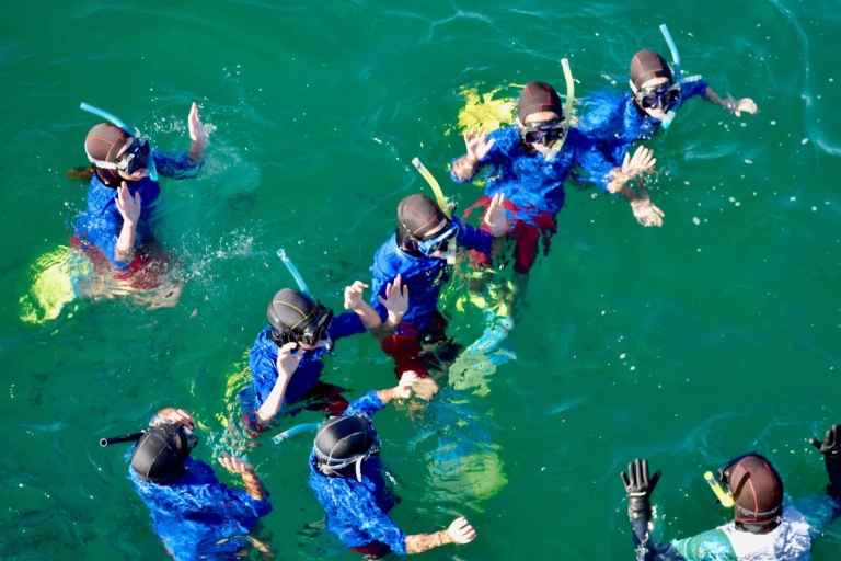 Excursions guidées de plongée en apnée à AucklandÎle Tiritiri Matangi