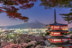 Tokio: Private, individuell gestaltete Tour zum Berg Fuji mit englischsprachigem Guide