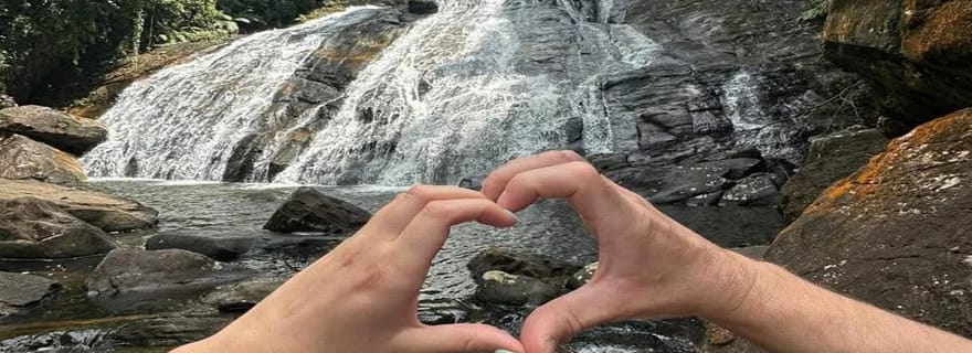 Visite de la forêt tropicale de Sinharaja avec un guide de la région