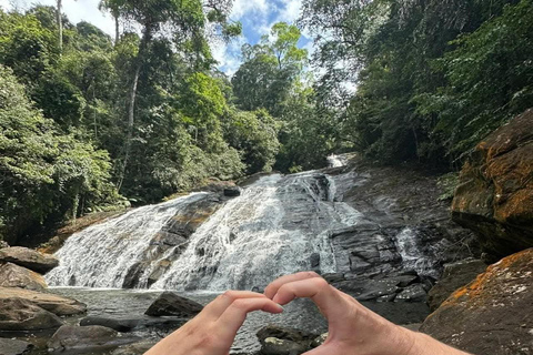 Sinharaja Rainforest Tour with Local Guide