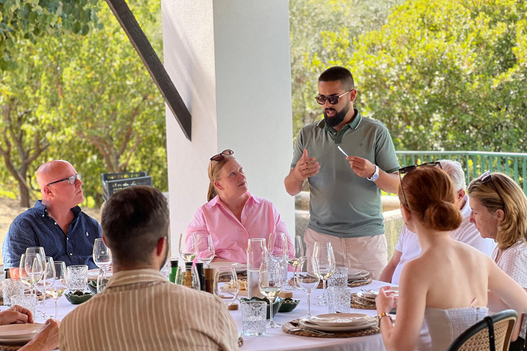 From Porto: Small-Group Douro Valley Wine Tour Lunch & Boat
