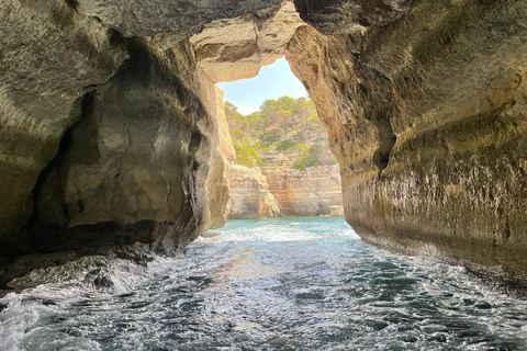 Speedboat sightseeing tour with a swim included around Menorca's famous coves. Speedboat tour with swim stop included through the famous coves of Menorca.