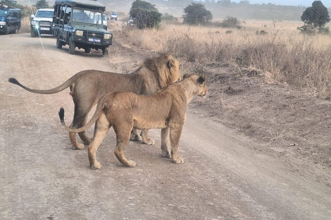 Nairobi National Park, Giraffe Center, Orpanage & Bomas Trip