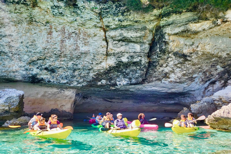 Bonifacio: Guided tour of the caves and cliffs with a swim