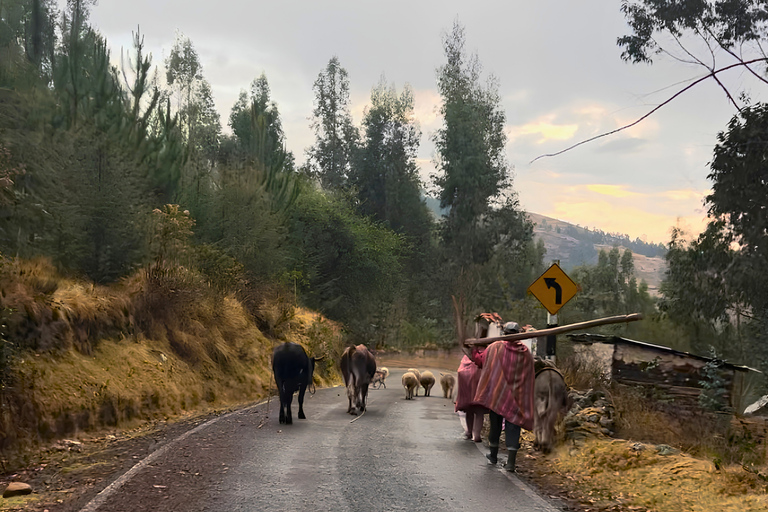 Huaraz: Altitude Acclimatization and Andean Rural Experience 2 Days Huaraz: Altitude Acclimatization and Andean Rural Experience, 2 Days