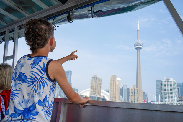 Toronto: Rundtur i centrum med CN Tower och hamnbåttur