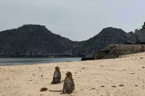 Cat Ba : tour en bateau de Lan Ha en kayak pour observer le plancton bioluminescent