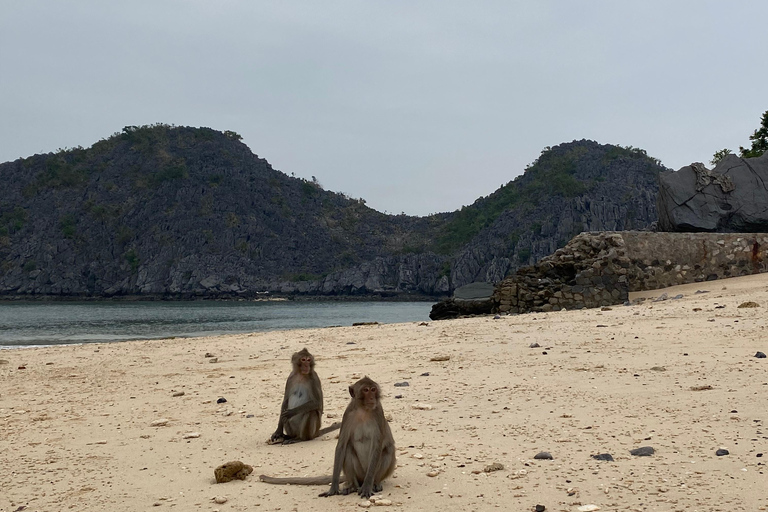 Cat Ba : tour en bateau de Lan Ha en kayak pour observer le plancton bioluminescent