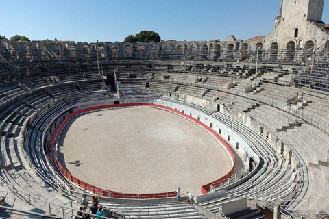 Arles Roman jewel & Provence wildlife