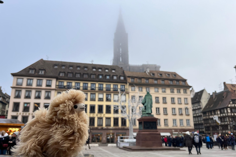 Strasbourg : excursion privée à Colmar, villages et château