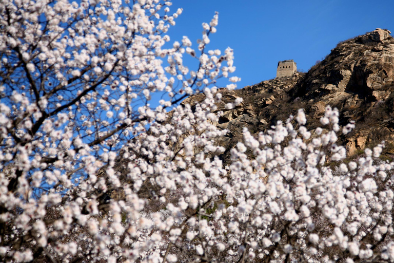 Kleine Gruppe zur Großen Mauer von Mutianyu mit Abholung vom Hotel