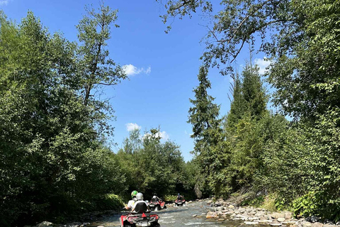 Zakopane: Snowmobile, Quad, or Buggy Tatra Mountains Tour