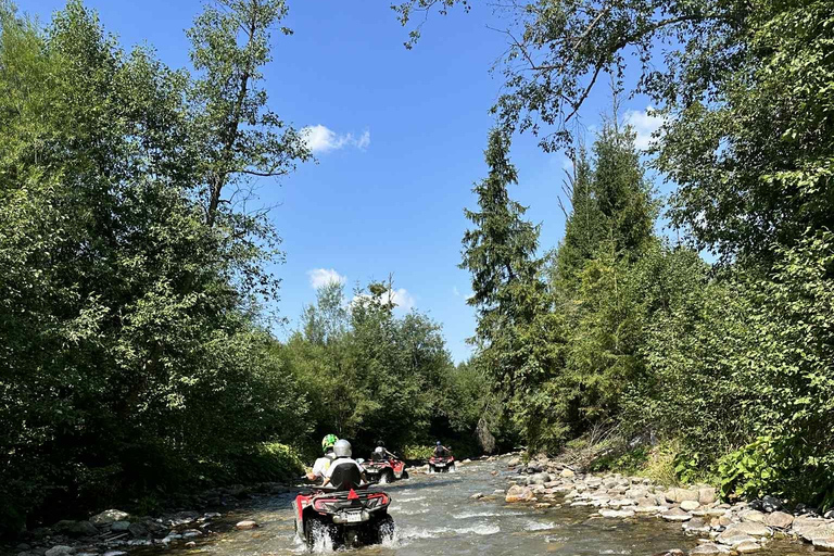 Zakopane: Snowmobile, Quad, or Buggy Tatra Mountains Tour