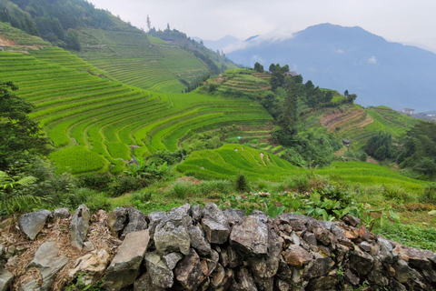 Visite privée sur mesure : 2 jours dans les rizières en terrasses de Longji