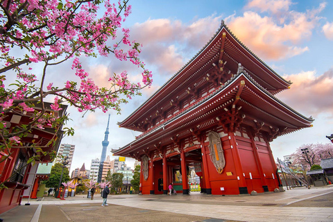 Tokyo Privat sightseeing med engelsktalande chaufför