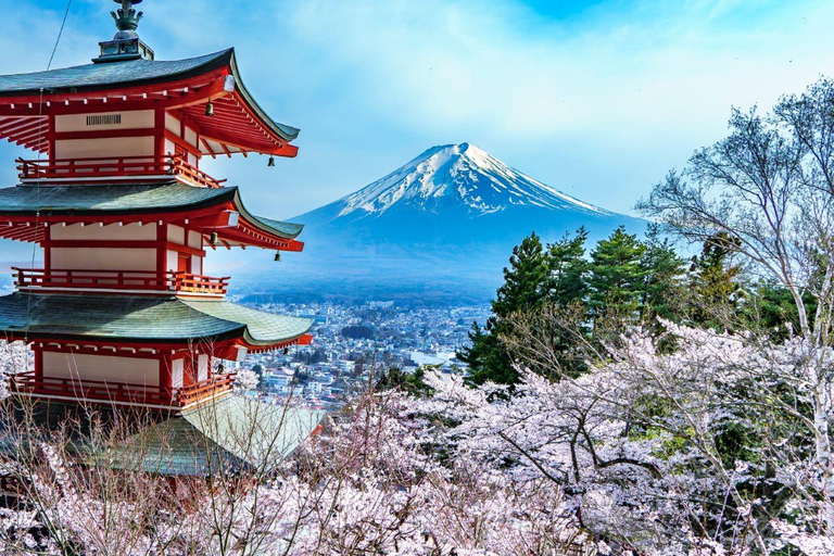 Berg Fuji und Hakone Ganztagestour private Tour