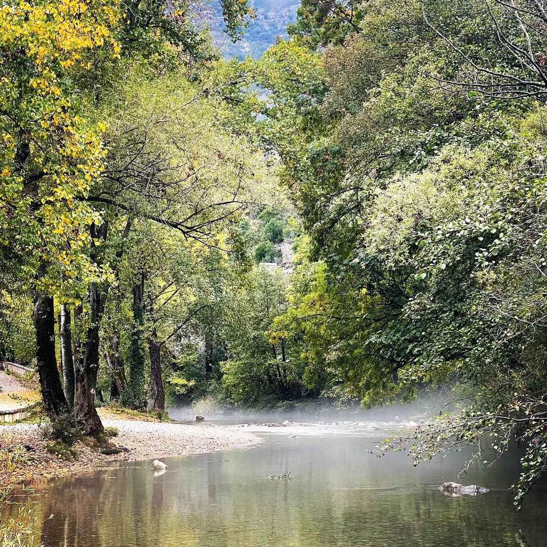 Galería de fotos para redes