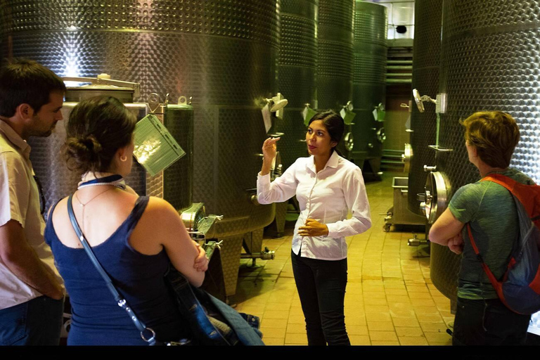 Expérience Haras : escapade dans les vignobles, vin et dégustationsExpérience Icono – 4 dégustations de vin