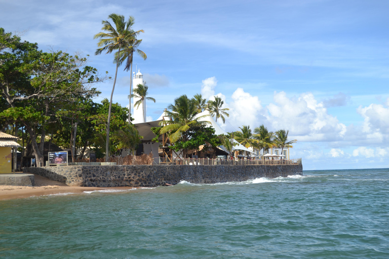 Salvador North Shore: Beach Hopping Tour to Praia do Forte