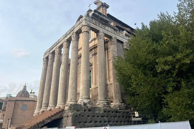 Small Group Guided Tour Colosseum Roman Forum, Palatine Hill Standard Tickets