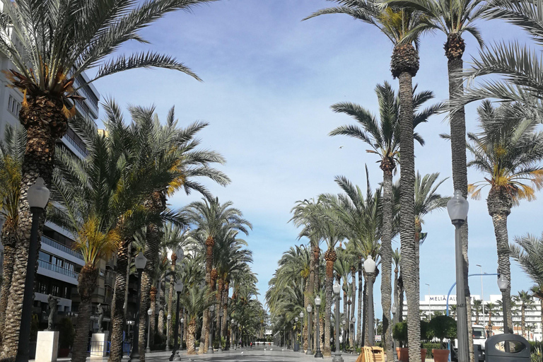 جولة سير في أليكانتي: المعالم السياحية والحياة المحليةجولة سير على الأقدام في أليكانتي: المعالم وا