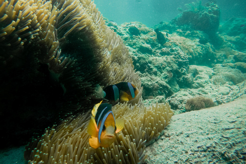 Nusa Penida: Snorkeling 3 Spots with GoPro & West Land Tour Snorkeling 3 Spots with West Land Tour - Meet at Penida Port