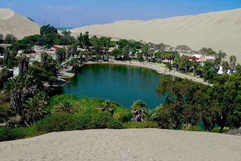 Lima: Trasferimento + Paracas + HuacachinaLima: Trasferimento + Paracas+ Huacachina