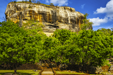 All-inclusive Sigiriya fästning och safari med vilda djur