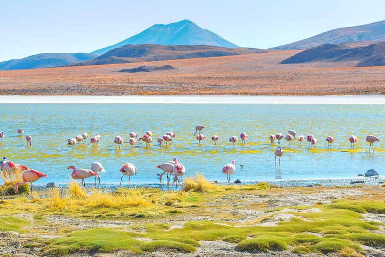 Exkursion zum Salar de Uyuni und Busfahrt über Nacht