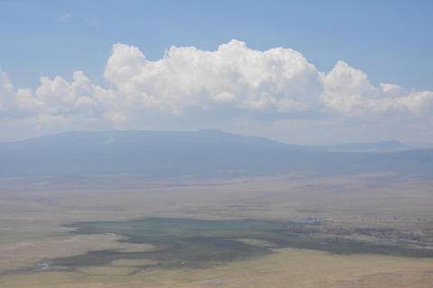 5 Days of Safari Bliss Witness Nature's Wonders