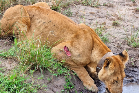 Uganda y Ruanda: Safari de 8 días por los gorilas y la fauna salvaje