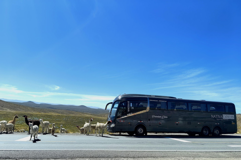 Överföring från Colca (Chivay) till Puno