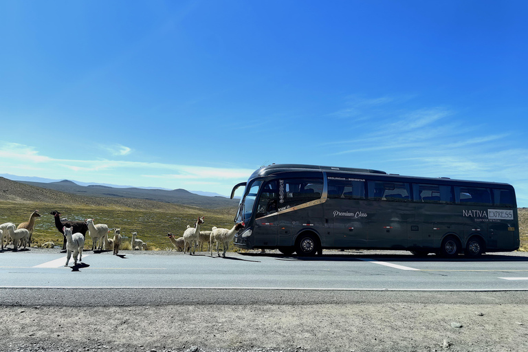 Transfert de Colca (Chivay) à Puno