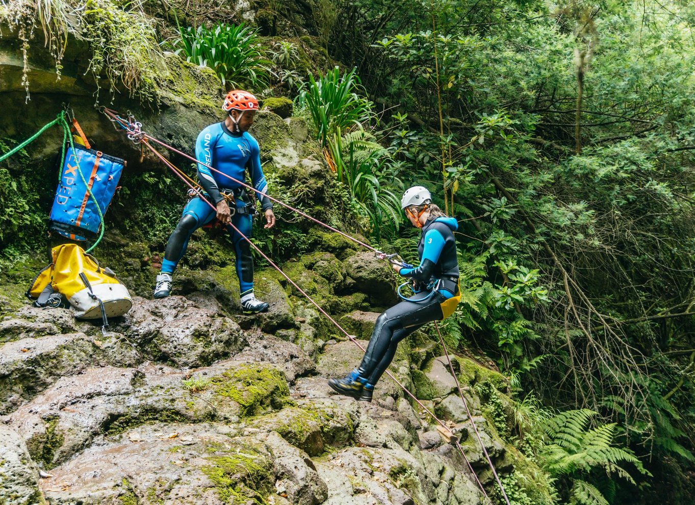 Funchal: Halvdags begyndervenlig canyoning-oplevelse