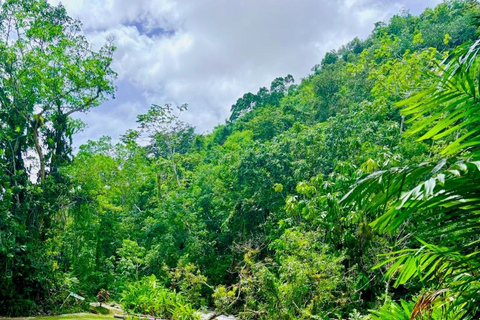 Montego Bay : Expérience des grottes de Cockpit